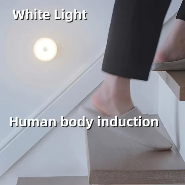 USB Rechargeable LED Night Light – Activated Motion Sensor, Ideal for Bedrooms, Stairs, Dorms & More